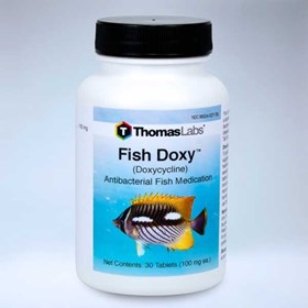 Fish Doxy (Doxycycline)