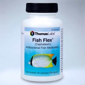 Fish Flex (Cephalexin)