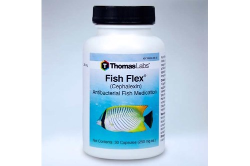 Fish Flex (Cephalexin)