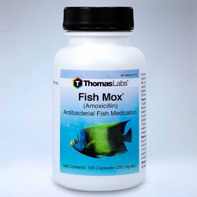 Fish Mox (Amoxicillin)