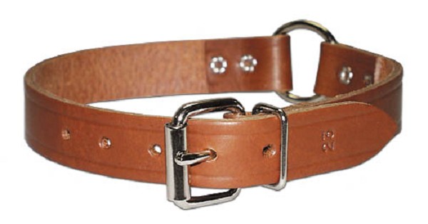 3/4" Leather Collar