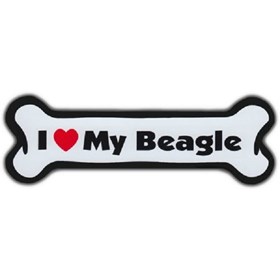 I love my beagle