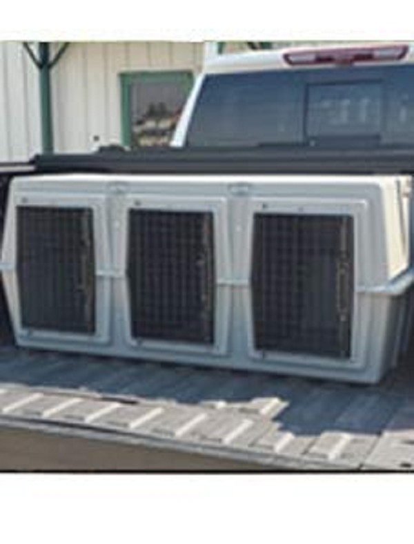 Ez loader shop dog box